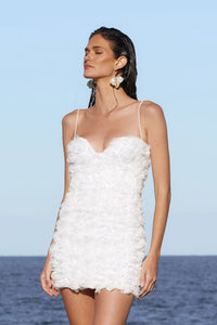 Juliette Mini - Nookie