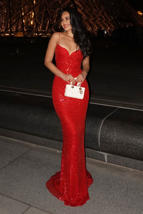 serena sequin mesh mermaid dress Serena Sequin Gown